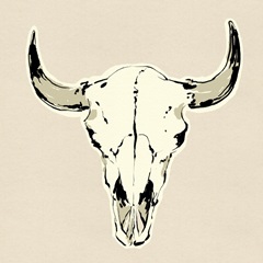 Steer Skull I