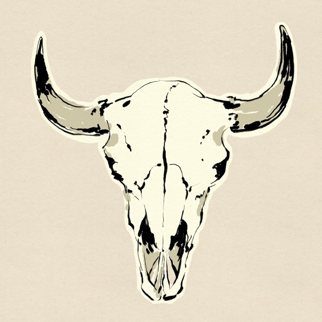 Steer Skull I