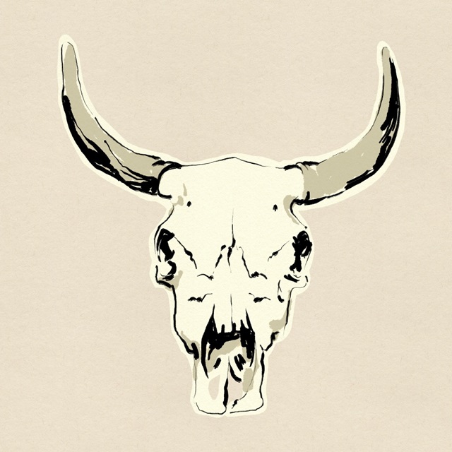 Steer Skull II