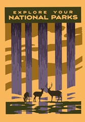 American Wayfarer Collection B