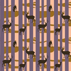 American Wayfarer Collection F