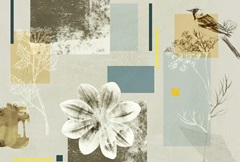 Bird Anatomy Collection A