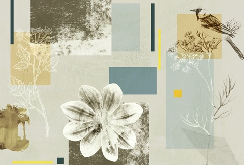 Bird Anatomy Collection A