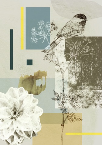 Bird Anatomy Collection B