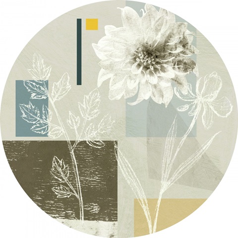 Bird Anatomy Collection C