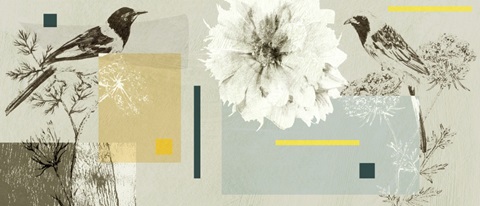 Bird Anatomy Collection D