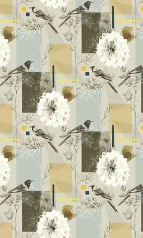 Bird Anatomy Collection E