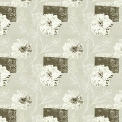 Bird Anatomy Collection F