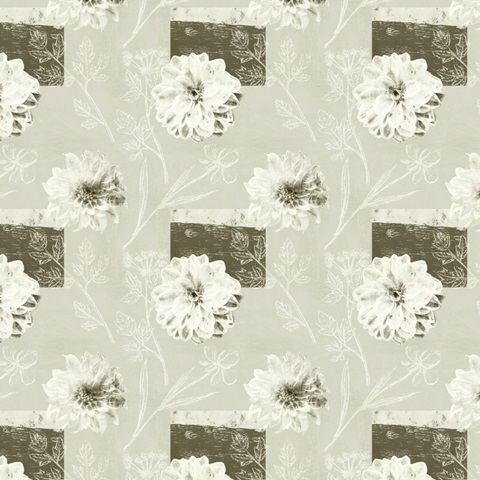 Bird Anatomy Collection F