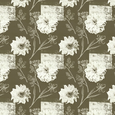 Bird Anatomy Collection G