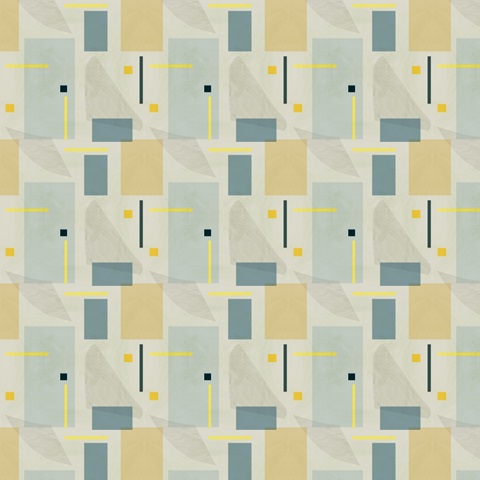 Bird Anatomy Collection H