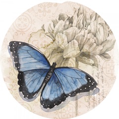 Shadow Box Butterfly Collection C