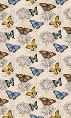 Shadow Box Butterfly Collection E