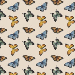 Shadow Box Butterfly Collection H