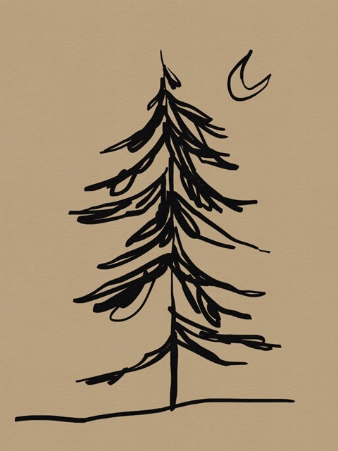 Winter Fir Sketch I