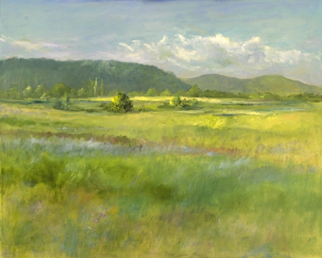 Hills Beyond the Meadow