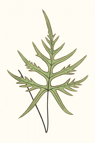 Collected Leaves VIII