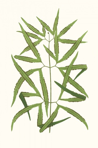 Collected Leaves XII