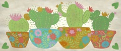 Happy Cactus Collection D