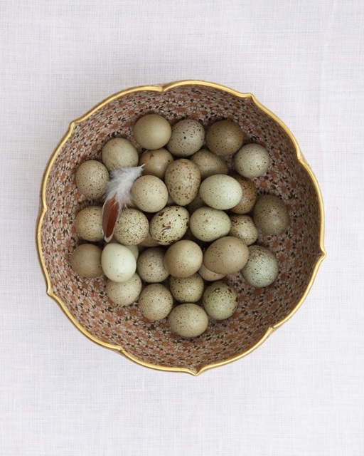 Quail Eggs on Pink Plate