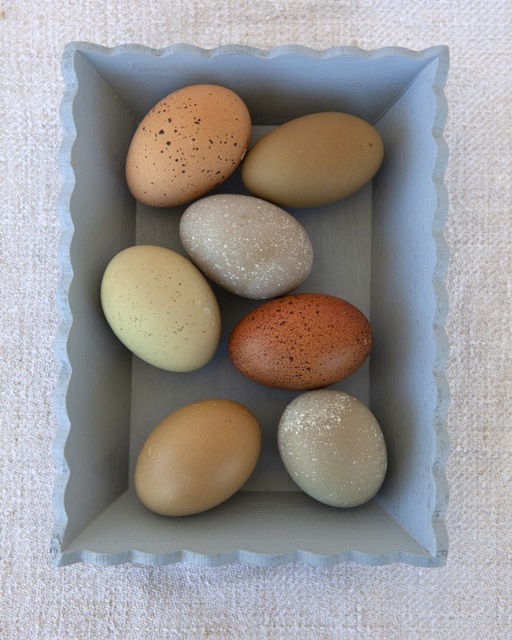Rainbow Eggs in Blue Box
