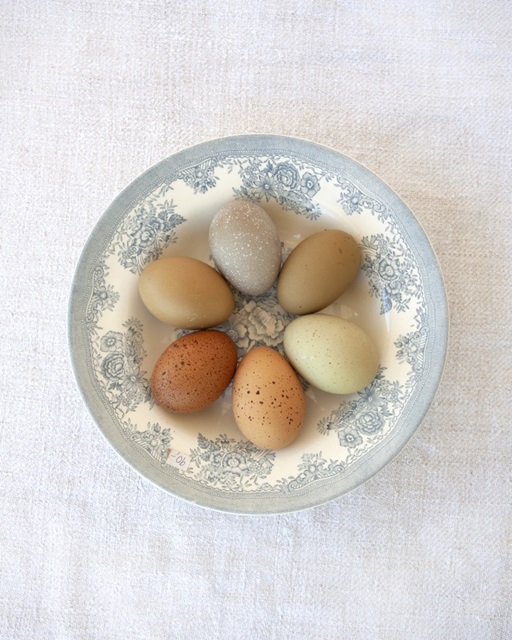 Rainbow Eggs on Blue Plate