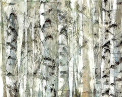 Birch Bunch I