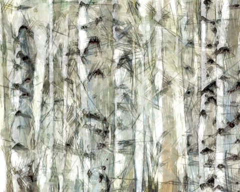 Birch Bunch I