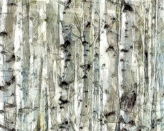 Birch Bunch II