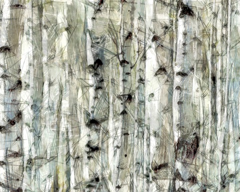 Birch Bunch II