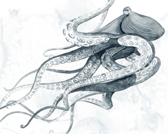 Drifting Tentacles I