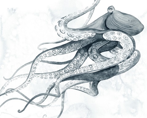 Drifting Tentacles I