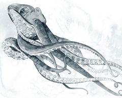 Drifting Tentacles II