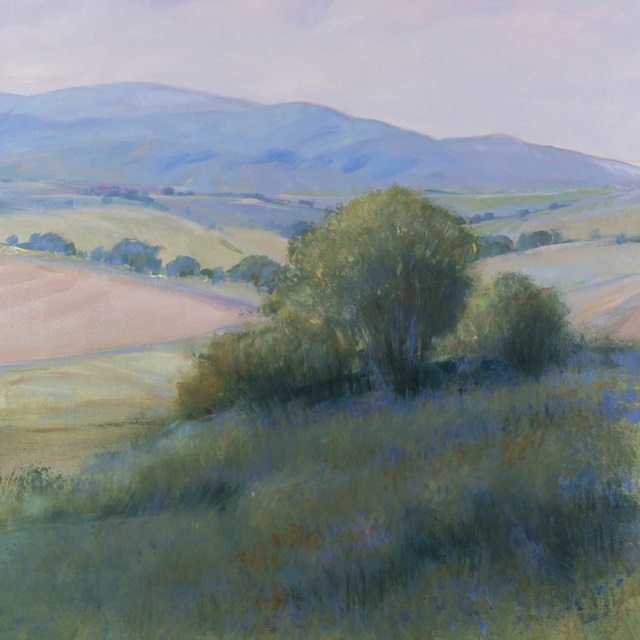 Lavender Hillside II