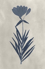 Navy Pressed Flowers I