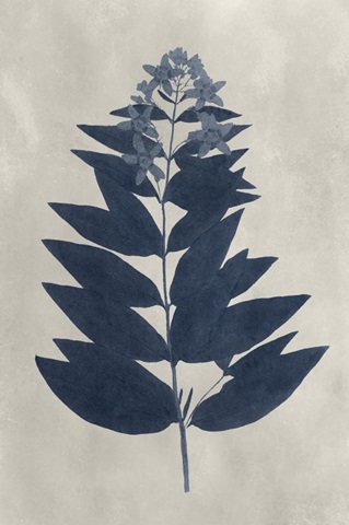 Navy Pressed Flowers IV