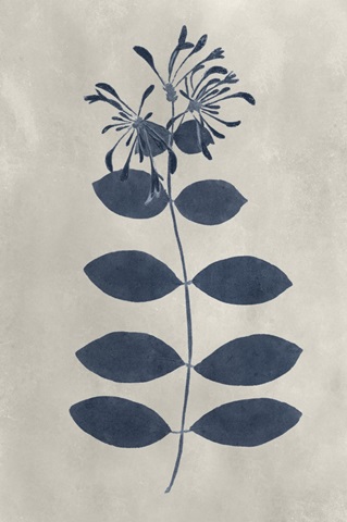 Navy Pressed Flowers IX