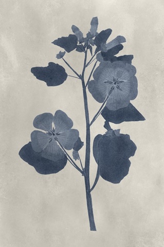 Navy Pressed Flowers V