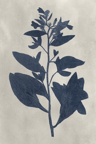 Navy Pressed Flowers VI