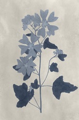 Navy Pressed Flowers VII