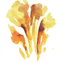 Seasonal Reflections II