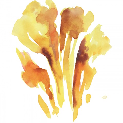 Seasonal Reflections II