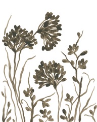 Sepia Petal Silhouettes I