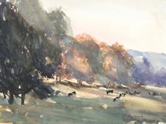 Sunlit Pasture II
