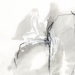 Monochrome Gestures I