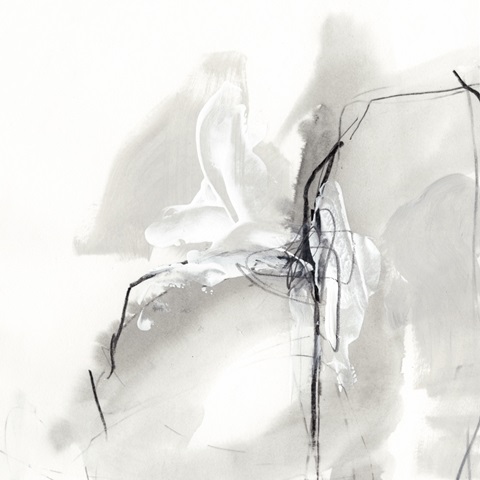 Monochrome Gestures I