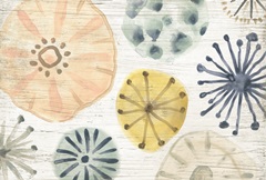 Ocean Urchins Collection A