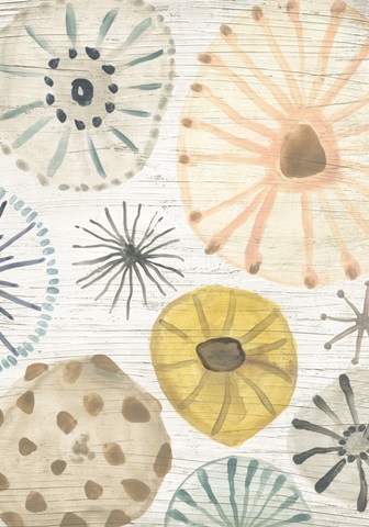 Ocean Urchins Collection B