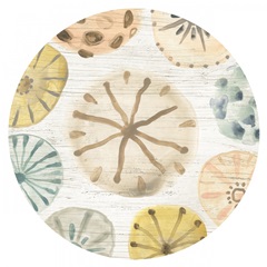 Ocean Urchins Collection C