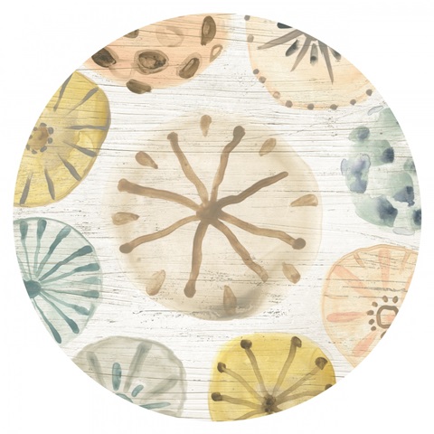 Ocean Urchins Collection C